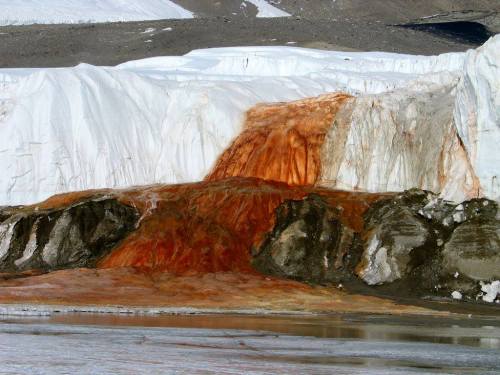 earthstory:
“Blood Falls
Flowing from Taylor Glacier in Antarctica’s McMurdo Dry Valleys is the blood-red waterfall aptly named, Blood Falls. The falls are tinted red by the iron-oxide rich, hypersaline water that flows from a lake beneath Taylor...