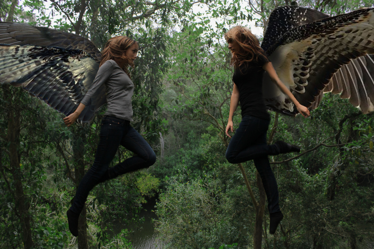 Maximum Ride Legendado Baixar tumblr mzy96gFYZw1qenbkqo1 1280 Maximum Ride Legendado Download