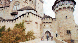 http://66.media.tumblr.com/6446c3f09132a0d3ce7d377c372e0b99/tumblr_o229qzRA261sgla6so8_r1_400.gif