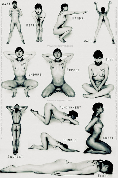 sexual toy,what does the prostate do,sex toy websites