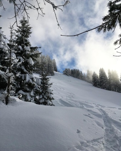 <p>Cause it‘s better than XCSkiing😉<br/>
#skitouring #powder #towarm (hier: Engelberg, Switzerland)<br/>
<a href="https://www.instagram.com/p/Bsig-g4lsaA/?utm_source=ig_tumblr_share&igshid=w6npuma1bcfr">https://www.instagram.com/p/Bsig-g4lsaA/?utm_source=ig_tumblr_share&igshid=w6npuma1bcfr</a></p>