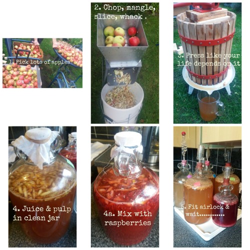 <p>Cider making made easy</p><p>#scrumpy #autumn fruit picking #apple juice #cider making</p>