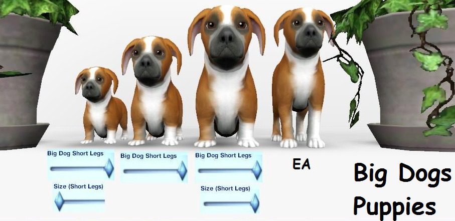 Sims Cats And Dogs Fuzzy Sims Cats And Dogs Fuzzy