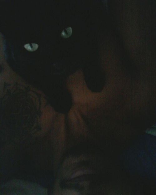 Tumblr obwqhdoggd1si8ovto1 500