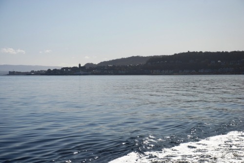 tumblr photo