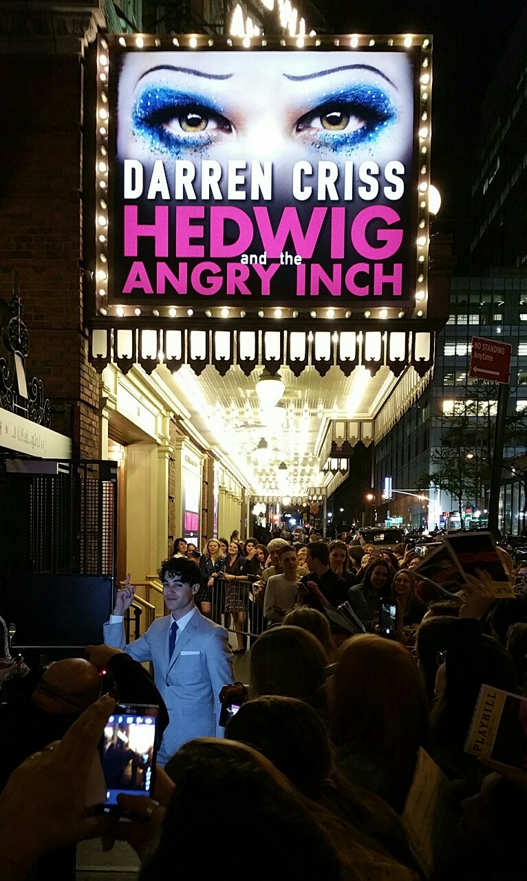 darrenishedwig - Pics and gifs of Darren in Hedwig and the Angry Inch on Broadway. - Page 2 Tumblr_nnlyt5hrdA1qzmthro1_1280