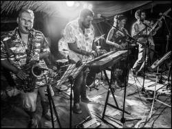 <p>Singapore Strings in action, performing music live in Lixouri, Kefalonia</p><p>photo shot by Dimitris Kaioglou</p>