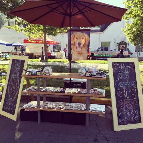 <p>Did you know we can also be found at the Farmer’s Market every Saturday from 8am to 12pm? If you found some cookies on our website (<a href="http://www.thebluecerebus.com">www.thebluecerebus.com</a>), but it’s even easier to come see us in downtown Madison, we would love to see you! 😄 Bring your dog too!</p>