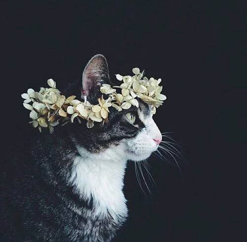 tumblr photo