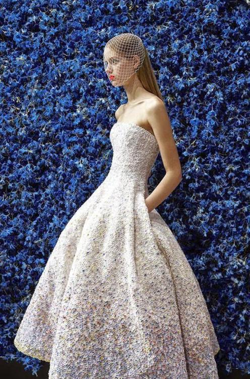 raf dior couture