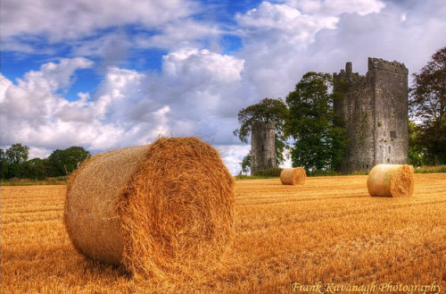 pagewoman:
“ Burnchurch Castle, County Kilkenny, Ireland.
by Frank Kavanagh.
”