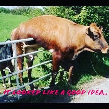 <p>You know those days! Looks like a really good idea and then this…🤣<br/>
Lessons learned!<br/>
#moveon #letgo #tomorrowsanotherday #opps #laughingatmyself #yikes <br/>
<a href="https://www.instagram.com/p/Bn2HsepggQf/?utm_source=ig_tumblr_share&igshid=1o8izm6i4tq46">https://www.instagram.com/p/Bn2HsepggQf/?utm_source=ig_tumblr_share&igshid=1o8izm6i4tq46</a></p>