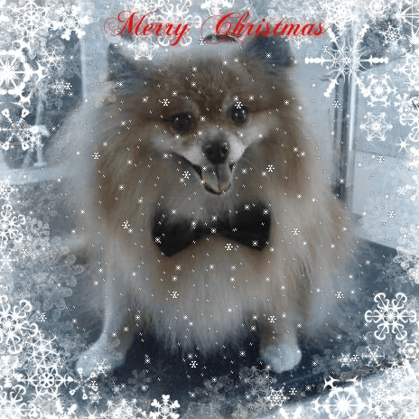 <p>Winter wonder girl Mia</p>