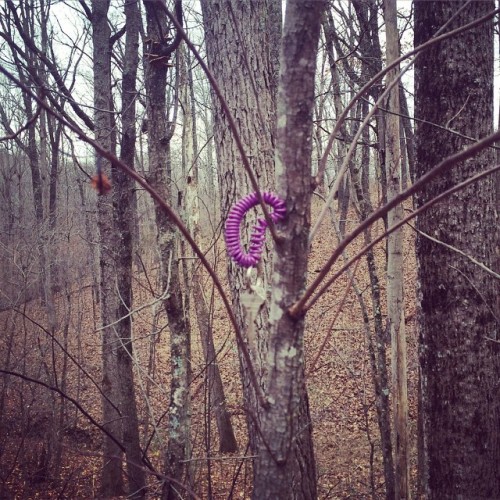 <p>This is a set of house keys in a tree. I believe this is somehow a result of the beer can littering situation. You can’t tell me these things are not related. #anddontcomeback (at Ridgetop, Tennessee)</p>