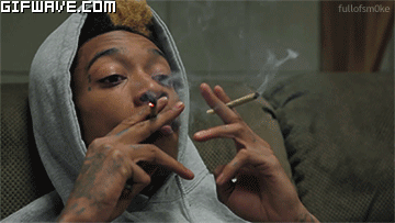 tumblr_nyacb9iVNr1sgru0jo1_400.gif