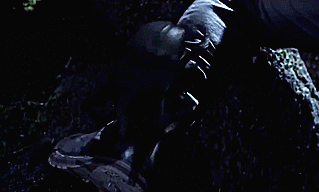 Výsledok vyhľadávania obrázkov pre dopyt the lost tomb gif