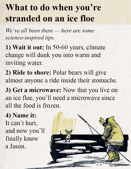 What To Do When You’re Stranded On An Ice Floe tumblr inline o8v8i7nZ3Q1qb25dg 540 What To Do When You’re Stranded On An Ice Floe