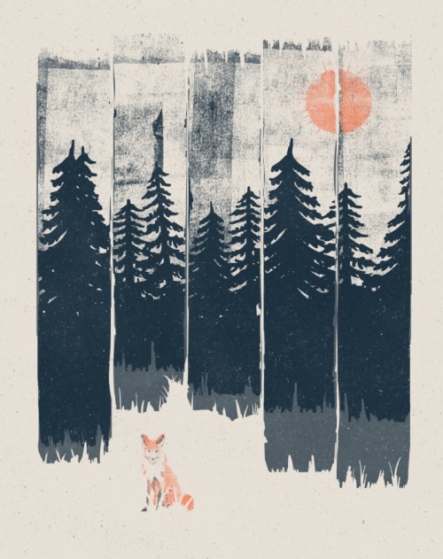 1000drawings:
“  A Fox in the Wild.. by NDTank
”