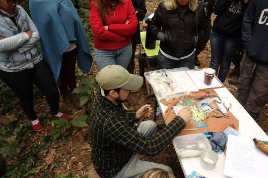 Researcher banding a bird