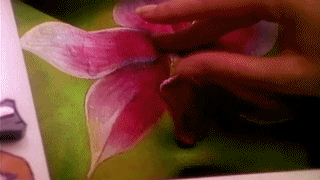 masturbation toys,sex toys in islam,cock,adult shop