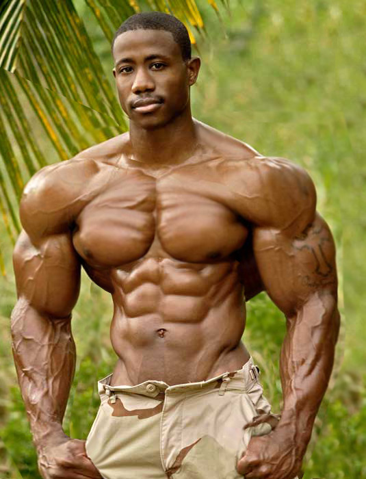 muscle dysmorphia essay muscle dysmorphia essay