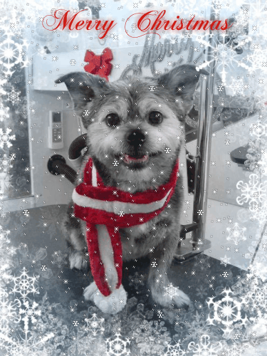 <p>Let it snow</p>