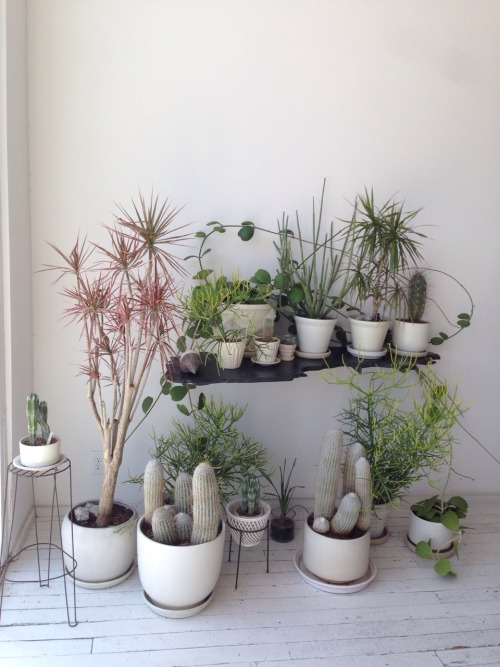 tumblr photo