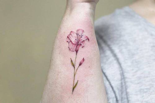 Lirio na Adriana! Obrigada Tattoo artist: Luiza Oliveira flower;small;lily;dotwork;black;tiny;red;little;nature;blackwork;forearm;luizaoliveira;green;fine line