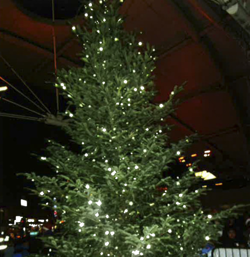 christmas lights switch on the peckham peculiar a free christmas lights switch on the peckham peculiar a free