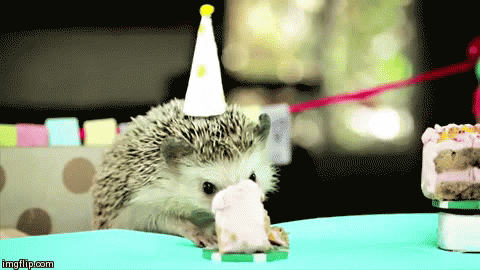 Image result for birthday gifs