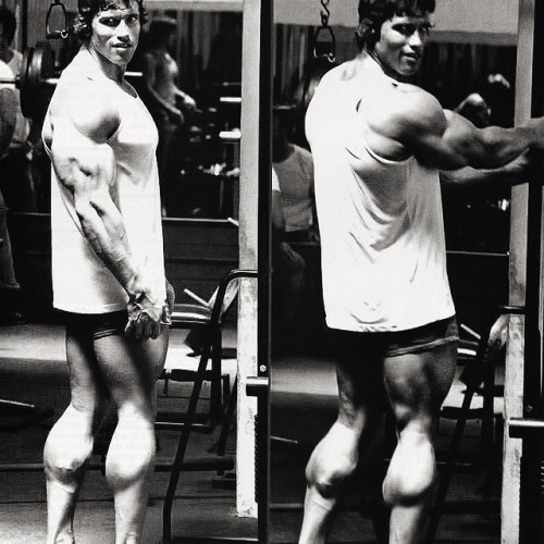 Image result for Arnold Schwarzenegger legs