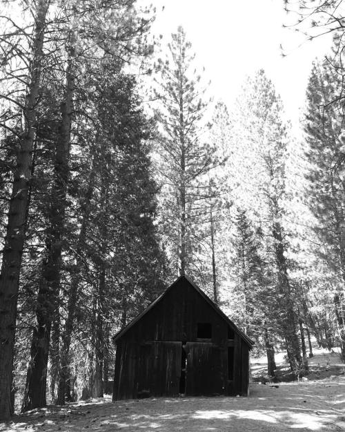 <p>#sierra #mytravelgram #adventure #ilovethewoods #sierranevada #california (at Kyburz, California)</p>