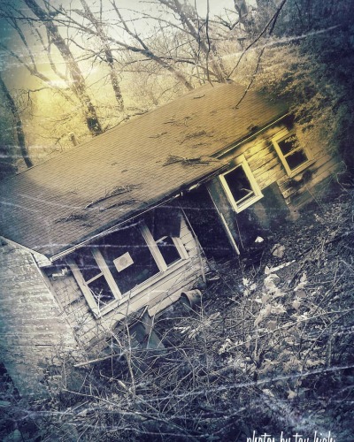 tumblr photo