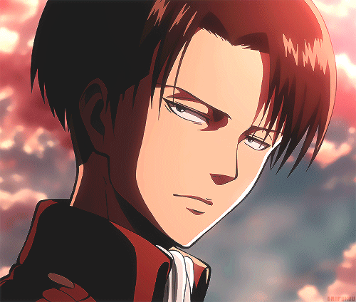 aries ackerman aries ackerman