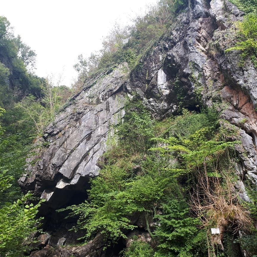 <p>Took 2 guests and a dog on our #geology of the #fforrestfawr #geopark today. Stops included Llandovery which lends its name to the Llandovery epoch of the #silurian #sawdde gorge SSI where important fish fossils have been found and marine sediments Silurian sediments can be seen trangresing into terrestrial sediments. We then went to #herbertsquarry on the #blackmountain followed by #henllysvale #colliery where #coal and #ironstone could be seen in situ. This was followed by the highest #waterfall in the @fforestfawrgeopark #henryhd before seeing fossil trees in #pontneddfehan It was then on to #dinasrock and #bwamaen fold with the Neath Valley Disturbance fault. We then saw #maenllia #standingstone which is made of #devonian #calcrete before ending the day on #mynyddilltyd to see a kettle hole, moraine and spectacular views over th whole #breconbeacons #nationalpark (at Fforest Fawr)</p>