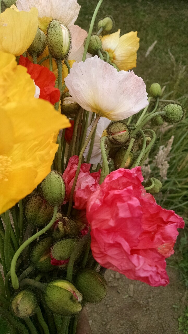 tumblr photo