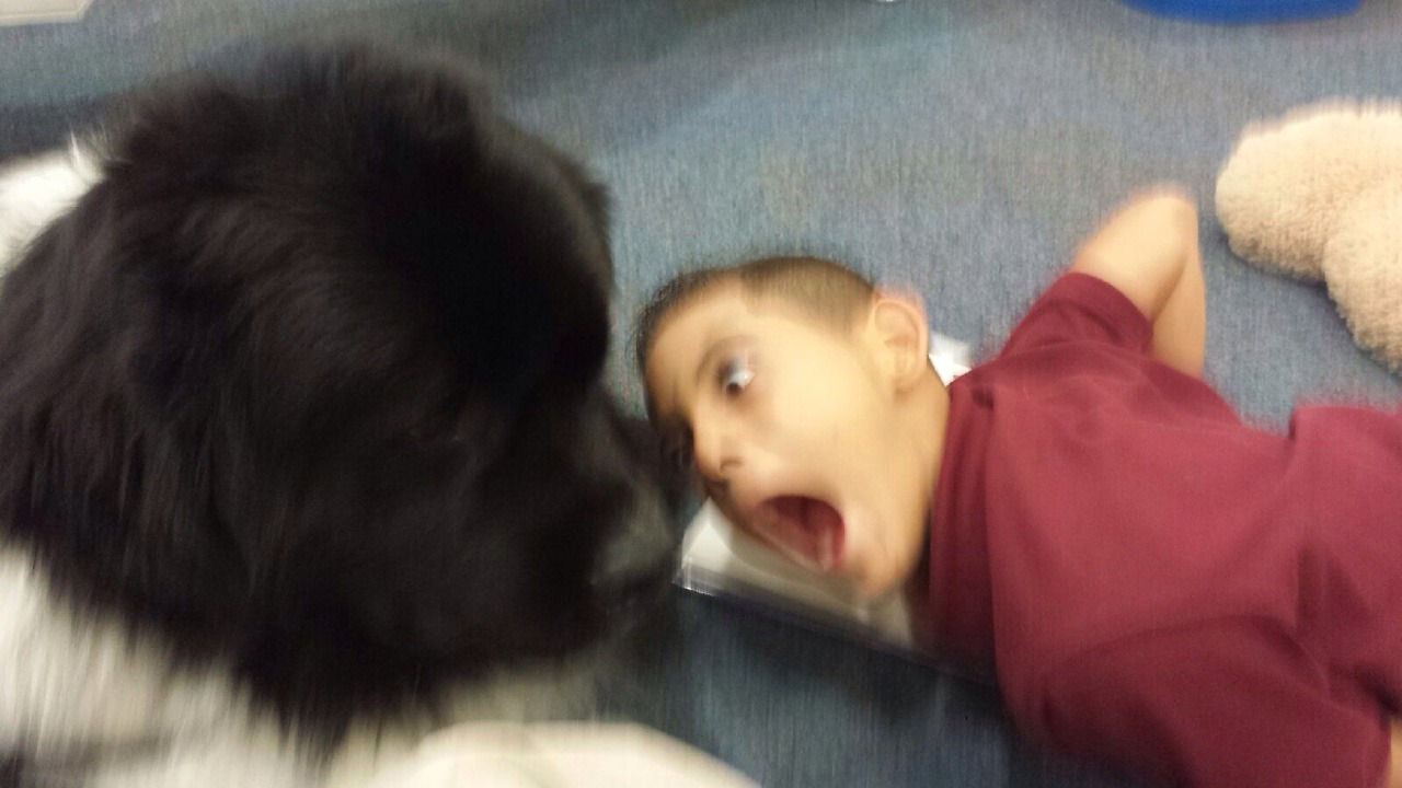 tumblr photo