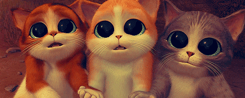 http://66.media.tumblr.com/9f2bcad1095c11825d7ace3d53a68cd2/tumblr_mi69m76pkl1rzmo0qo1_500.gif