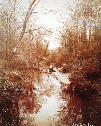 tumblr photo