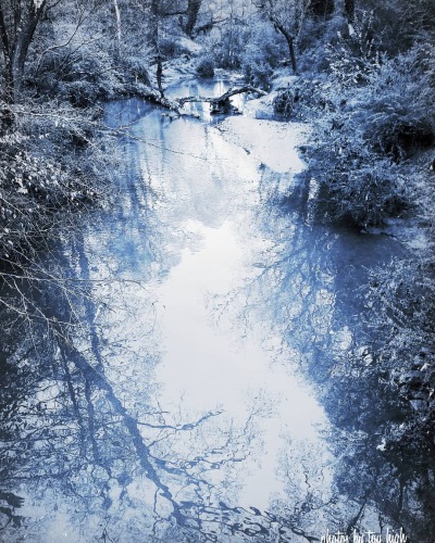 tumblr photo