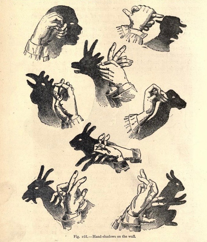 nemfrog:<br /><br />
“ Fig. 168. Hand shadows on the wall. _Popular scientific recreations in natural philosophy, astronomy, geology, chemistry_ 1883<br /><br />
”