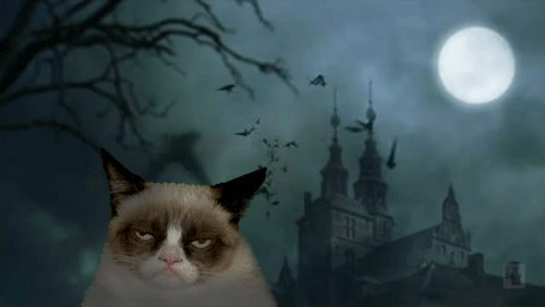 http://66.media.tumblr.com/a85a715dc812af847652a00bbe0939fc/tumblr_nw6p18Ejw41udh5n8o1_500.gif