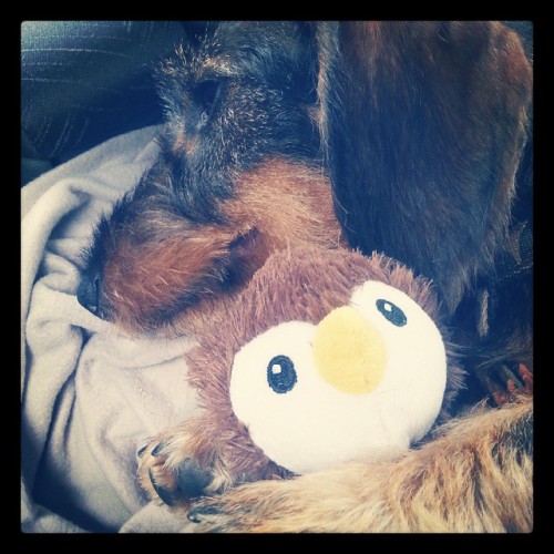 tumblr photo