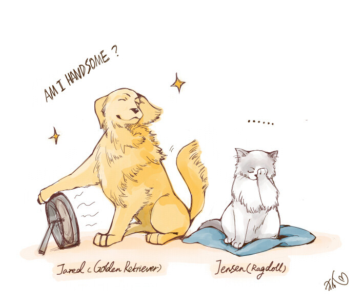 Dog!Jared/Cat!Jensen