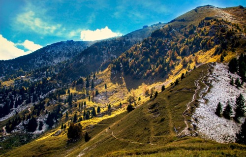 Hiking in Monte Grappa, Treviso, Italy.Captured by alequandro. 