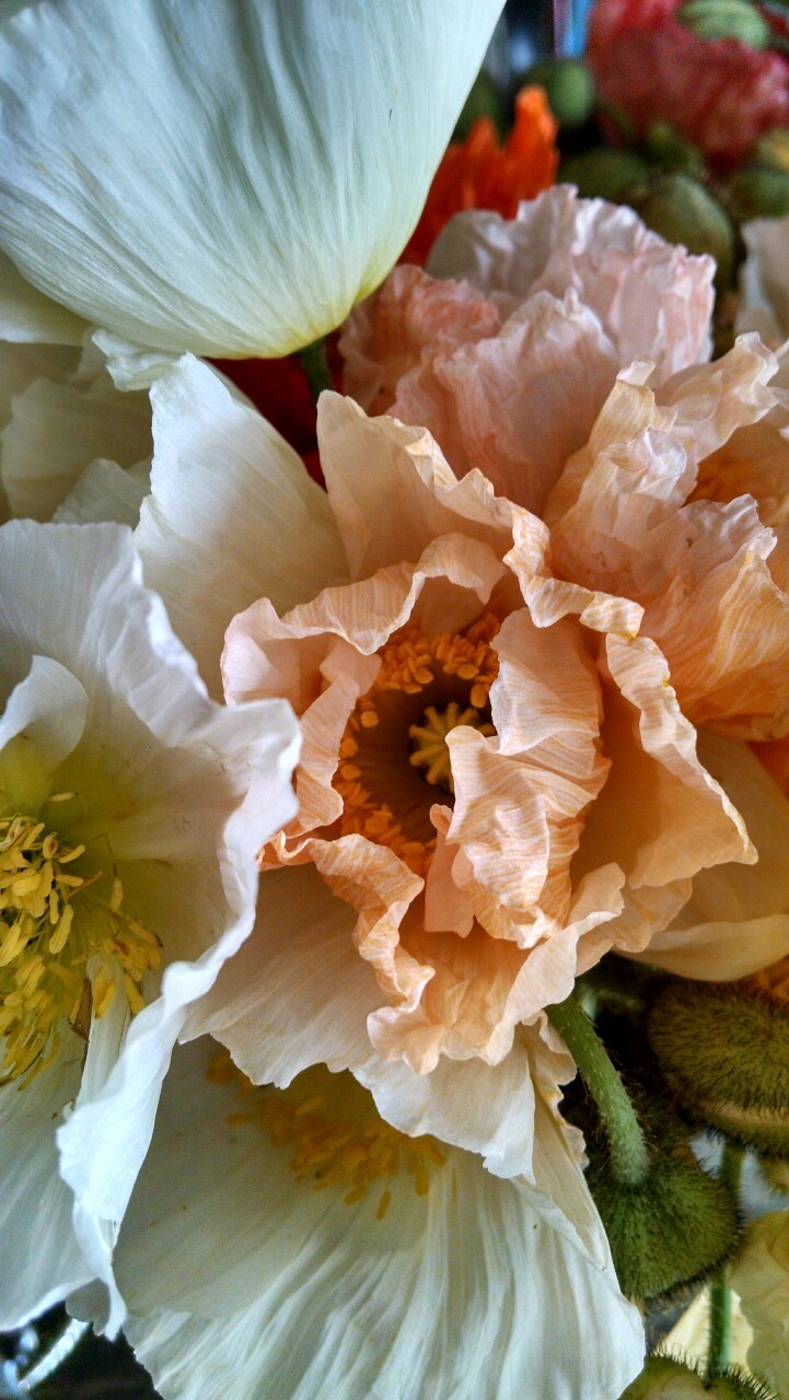 tumblr photo