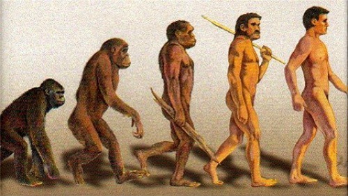 The picture show the evolotion of humans, which is the basic idea behind physical anthropology