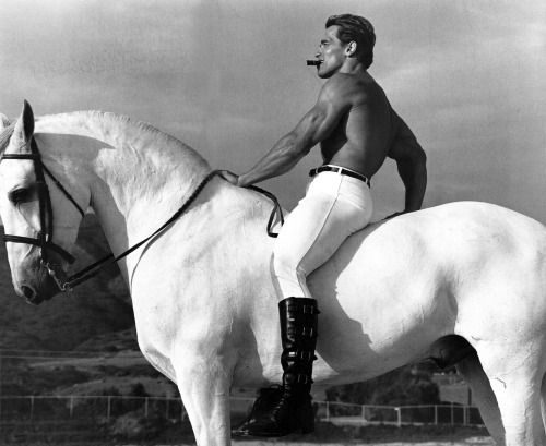 <p>Arnold Schwarzenegger, by Annie Leibovitz.</p>