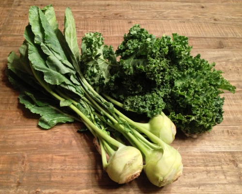 <p>Both kale and kohlrabi are good early season crops and they are one of the first things we plant once winter says it’s farewells. Even a late season frost won’t deter these cold hearty vegetables. At the same time, the first batch of greens coming up in the field makes us realize it’s really Spring!</p><p><br/></p><h2><b>Kale & Kohlrabi Sauté</b></h2><blockquote><p>One bunch of kale (about a pound) chopped<br/>One head of kohlrabi, peeled<br/>Three tablespoons olive oil<br/>Two tablespoons white wine vinegar<br/>Two cloves of garlic, smashed & chopped.<br/>¼ cup Illinois black walnut, chopped<br/>Sea salt & white pepper</p></blockquote><p>With a vegetable slicer or mandolin, slice the kohlrabi. Combine half the olive oil and vinegar, adding a pinch of salt and a grind or two of pepper, and whisk. Add the kohlrabi, combine and set aside.</p><p>Add the remaining olive to a skillet, heat, then add the garlic. Add the chopped kale and sauté until wilted. Add a pinch of salt, a grind of pepper, and the remaining vinegar. remove from heat and set aside to cool to room temperature. Toss the kale, the dressed kohlrabi, walnuts, then toss and serve. </p>