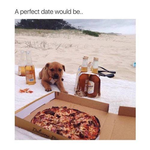 dreamingafterdaybreak:
“ Is this dog my date? Because that seems realistic
”